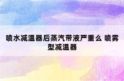 喷水减温器后蒸汽带液严重么 喷雾型减温器